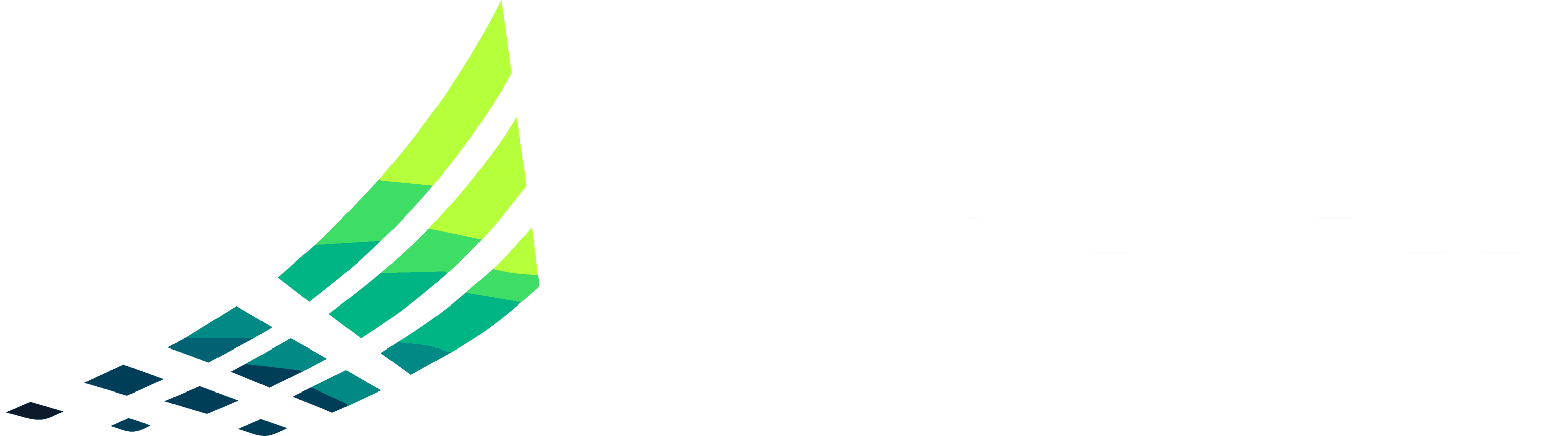 Michigan Dynamics
